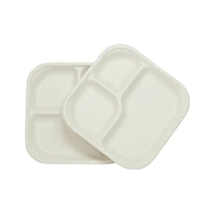 3CP BAGASSE SQUARE PLATE