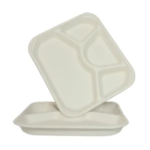 4cp Bagasse Square Plate