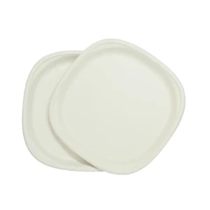 8inch Bagasse Plate